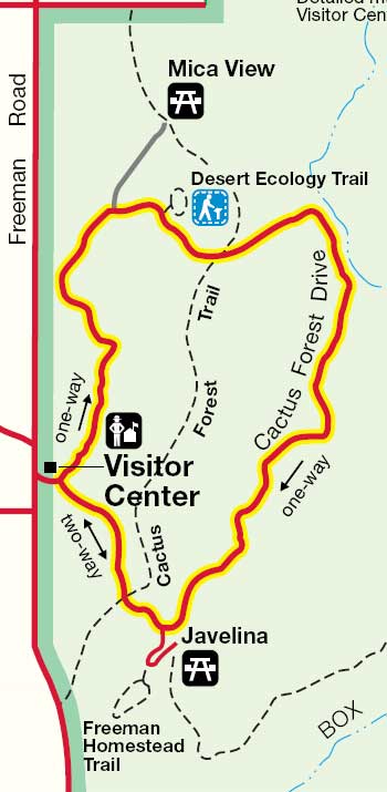Saguaro National Park East Picnic Areas