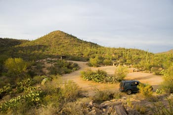 ez kim in zin picnic area picture saguaro national park west