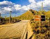 Bajada Loop Drive Saguaro National Park