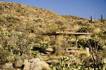 Javalina Picnic Area Saguaro National Park East Photo