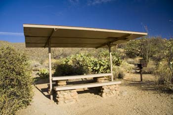 Javeline Picnic Area Saguaro National Park East Picture