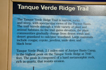 Javelina Picnic Area Tanque Verde Trailhead