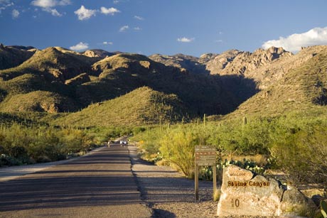 Sabino Canyon Recreation Area Picture