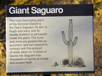 Giant Saguaro Plaque