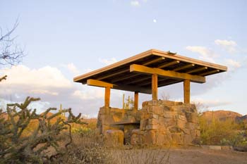 Signal Hill Picnic Area Saguaro National Park Photo