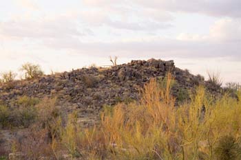 Signal Hill Picnic Area Photo Saguaro National Park