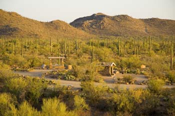 Signal Hill Picnic Area Photo Saguaro National Park West