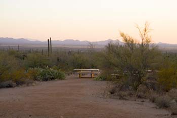 Signal Hill Picnic Area Saguaro National Park Picture