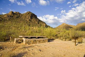 Sus Picnic Area Saguaro National Park Looking Northeast