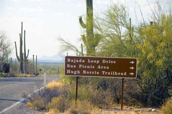 Sus Picnic Area Sign Saguaro National Park